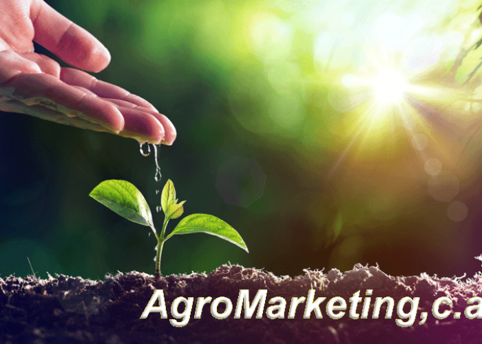 Elementos Esenciales en la Nutrición de los Cultivos